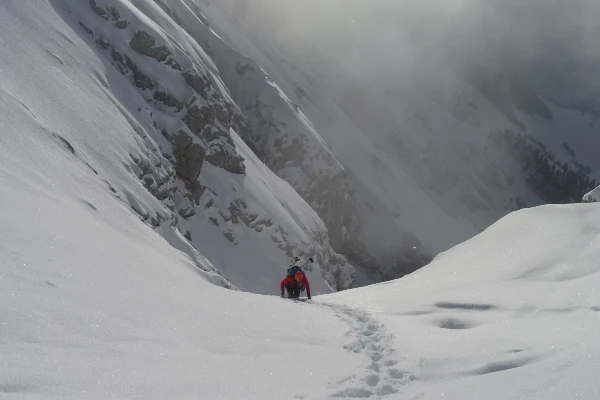 Paré de joux | Jardin secret