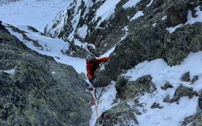 Tête de Sainte Marguerite | Marguerite effeuillée