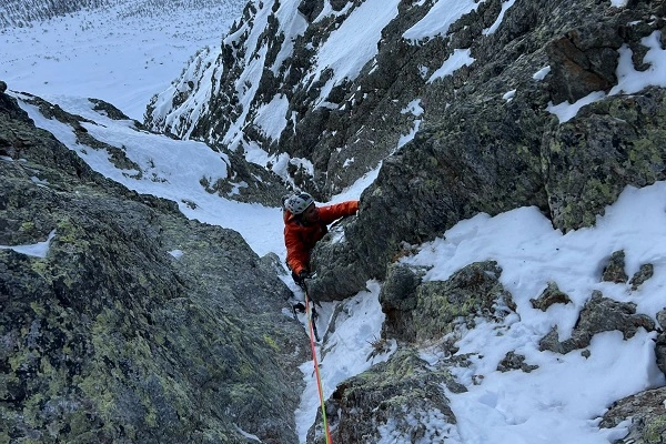 Tête de Sainte Marguerite | Marguerite effeuillée